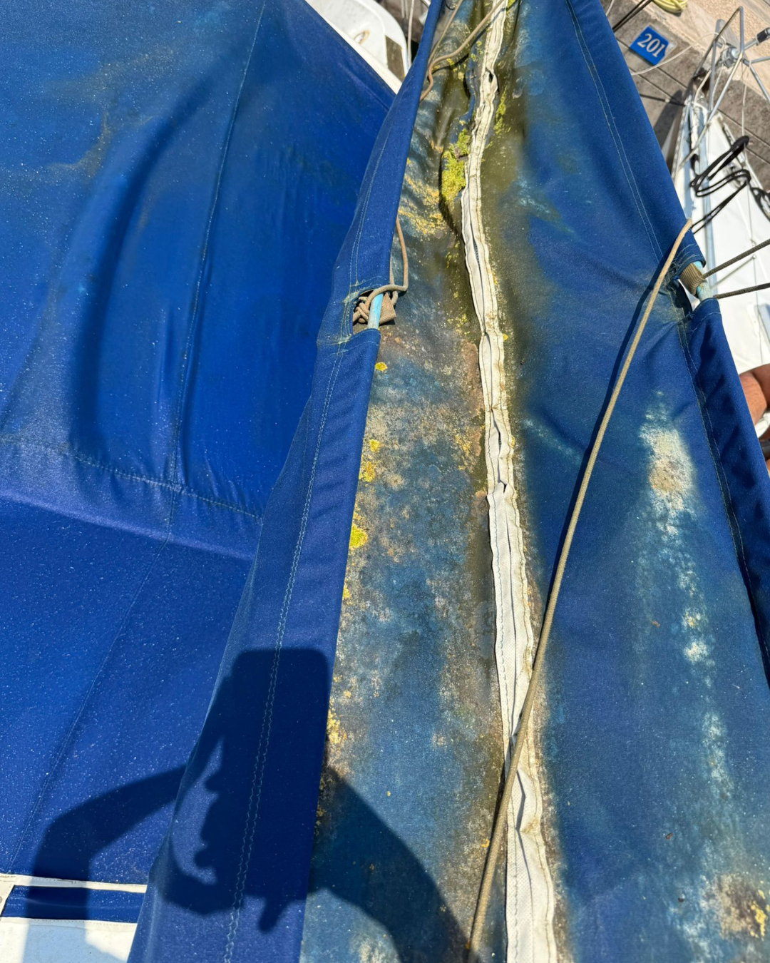 Tessuto capottina con muffa e alghe da trattare